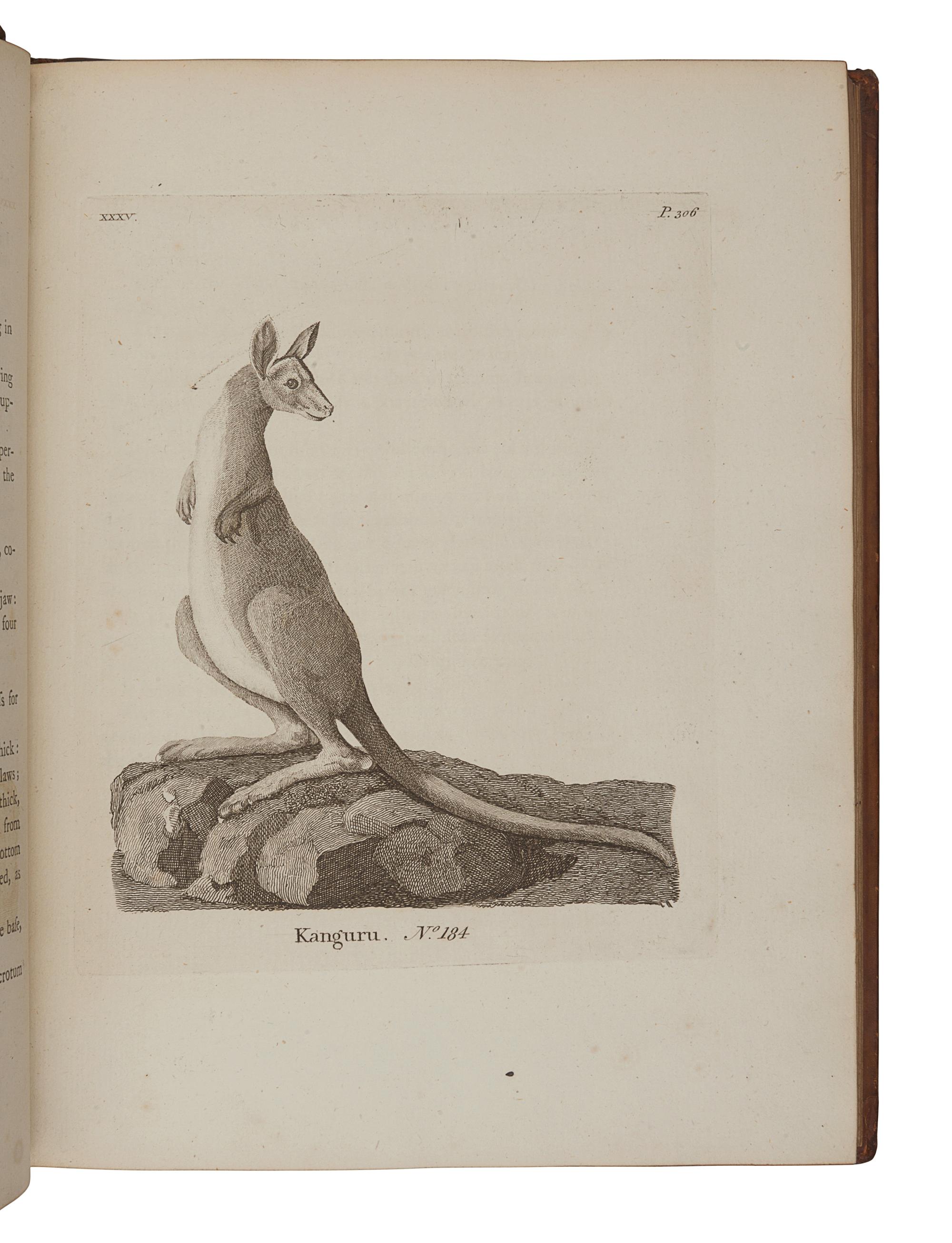 PENNANT, Thomas (1726-1798). History of Quadrupeds . London: B. White, 1781.