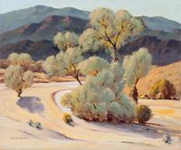 Smoke Tree Wash