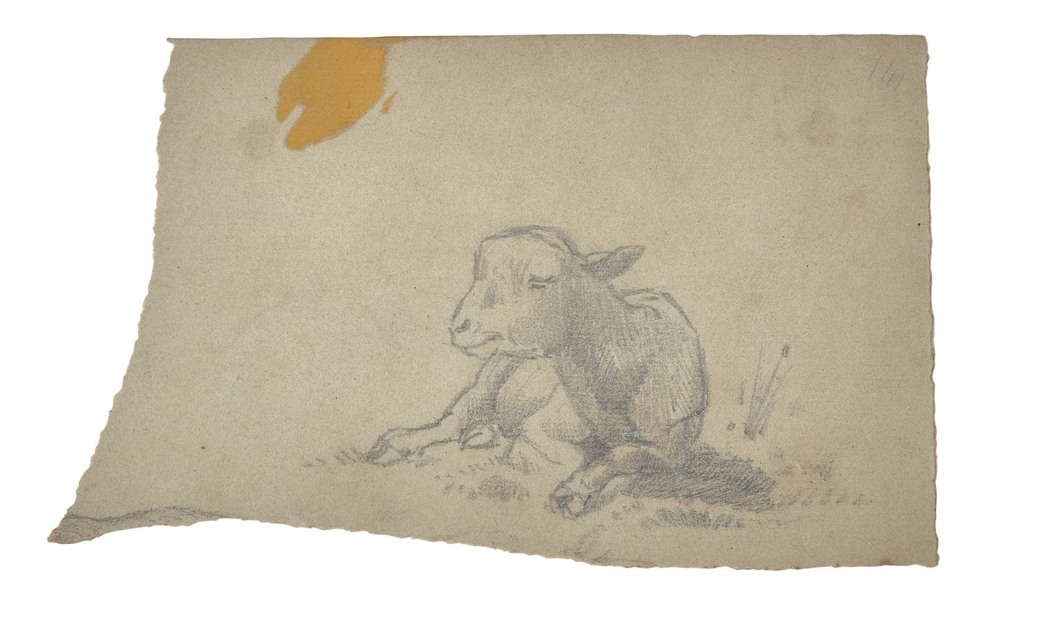 Farm Animal Studies: F older of Eighteen (18) Pencil Drawings