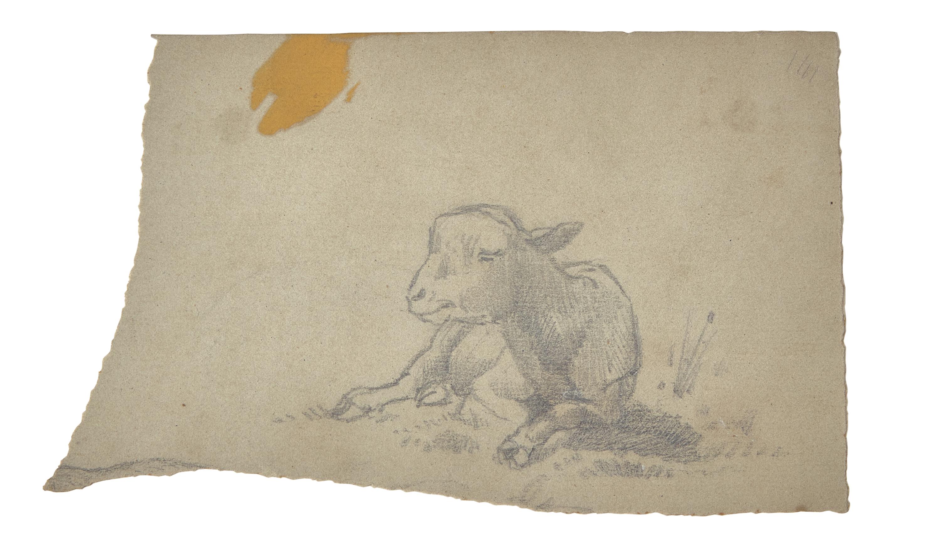 Farm Animal Studies: F older of Eighteen (18) Pencil Drawings