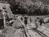 A group of five photographs ( Parishoners Peeling Tomatoes, Bardstown, KY, 1940; Breathitt County, KY, 1940; Radford, VA Farm, 1941; Riner, VA , 1941; Cattle Guard, 1941)