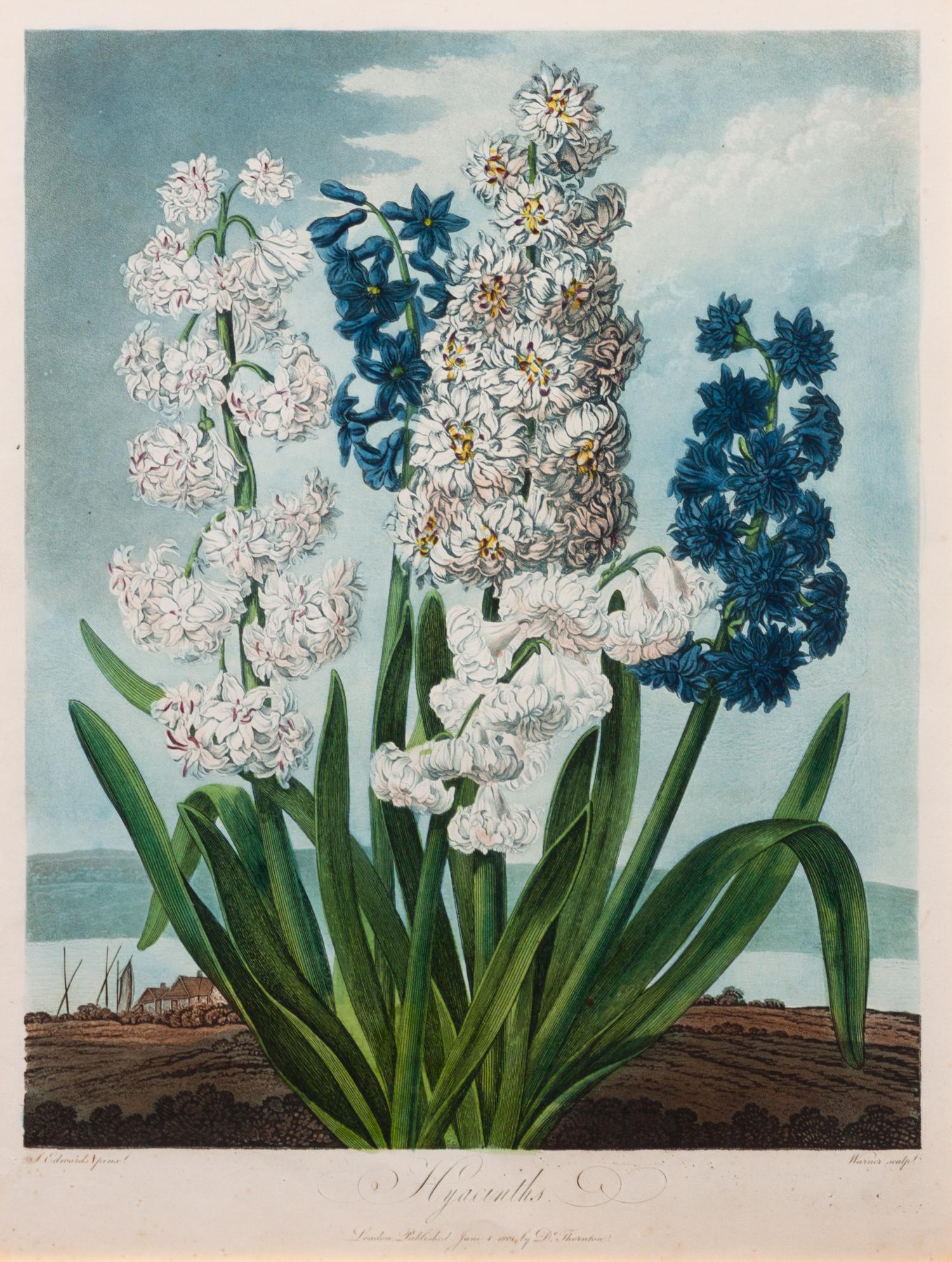 A Group of Three Handcolored Botanical Engravings Largest: 19 3/4 x 15 1/4 inches.