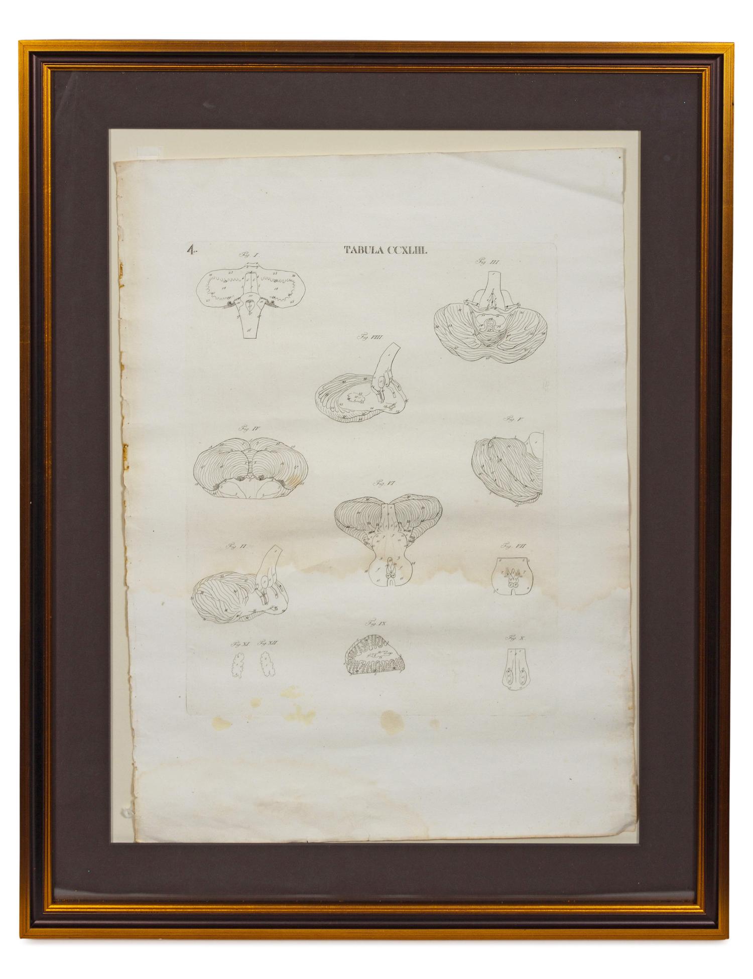 A Pair of Engravings from Recueil Des Planches Sur les Sciences