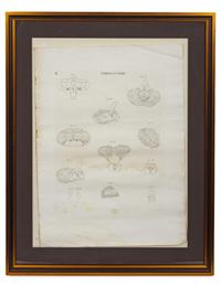 A Pair of Engravings from Recueil Des Planches Sur les Sciences