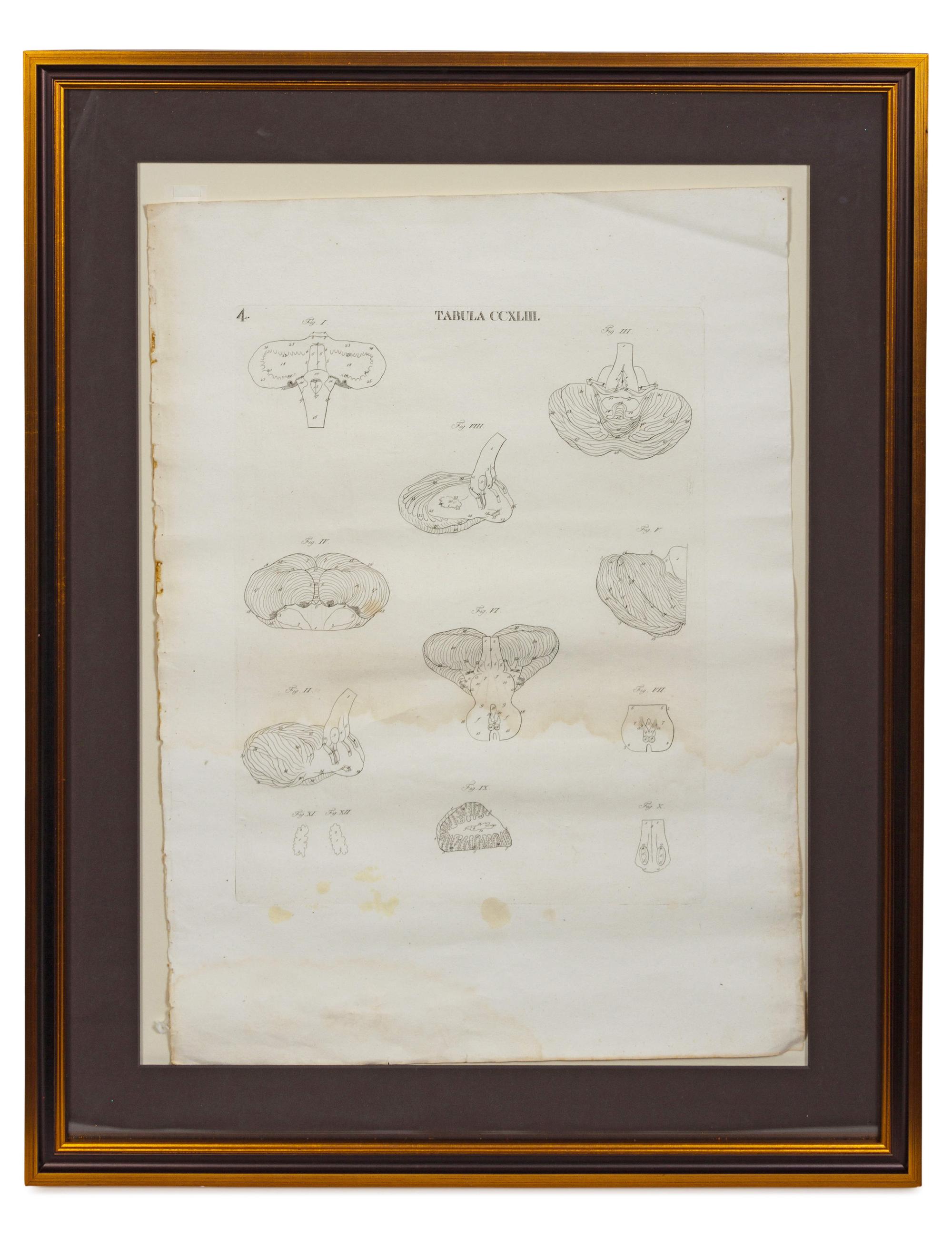 A Pair of Engravings from Recueil Des Planches Sur les Sciences