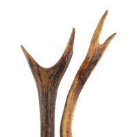 A Pair of Unmounted Stag Antlers