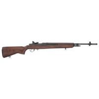 *Springfield Armory M1A