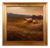 Sheep in a Grassy Field