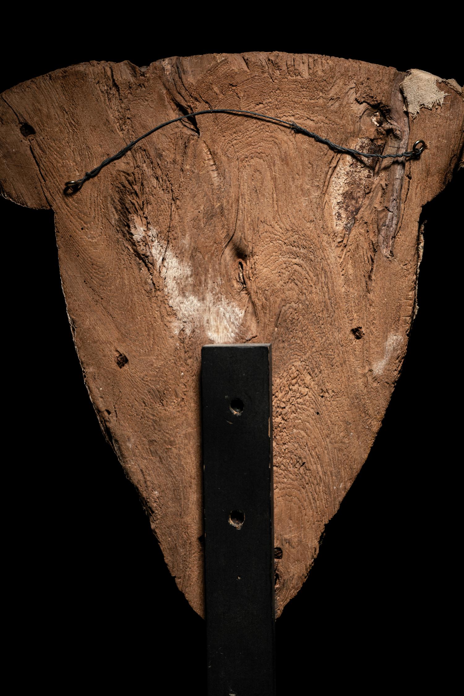 An Egyptian Wood and Painted Cartonnage Mummy Mask