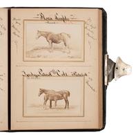 [EARLY PHOTOGRAPHY] -- [EQUESTRIAN]. SCHREIBER & SONS, photographers. Album containing 75 portraits of identified race horses. Philadelphia, PA: ca 1870s.