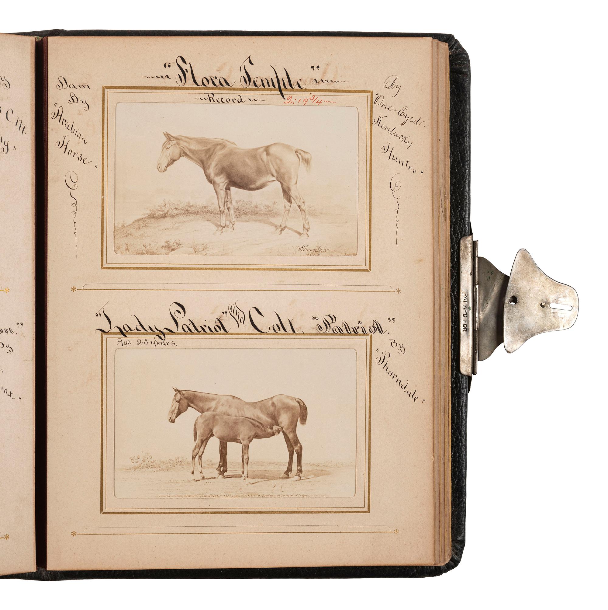 [EARLY PHOTOGRAPHY] -- [EQUESTRIAN]. SCHREIBER & SONS, photographers. Album containing 75 portraits of identified race horses. Philadelphia, PA: ca 1870s.