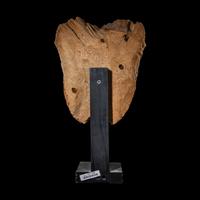 An Egyptian Painted Wood Mummy Mask