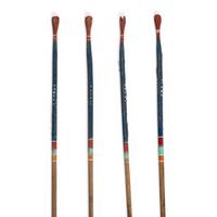 Southeastern Painted Bird Darts