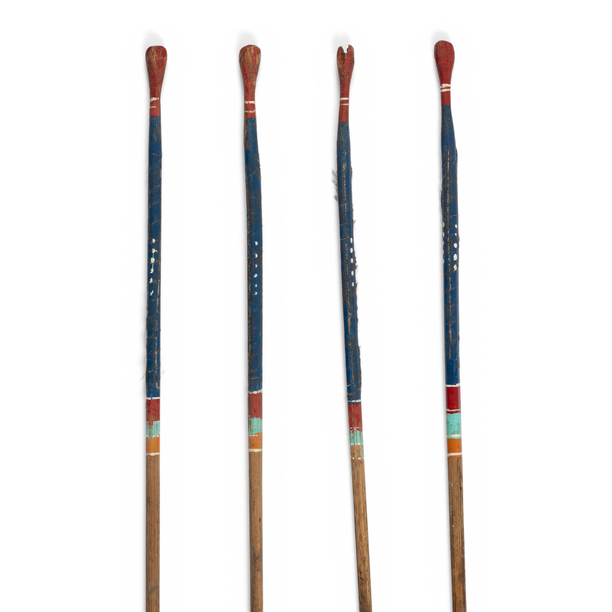 Southeastern Painted Bird Darts