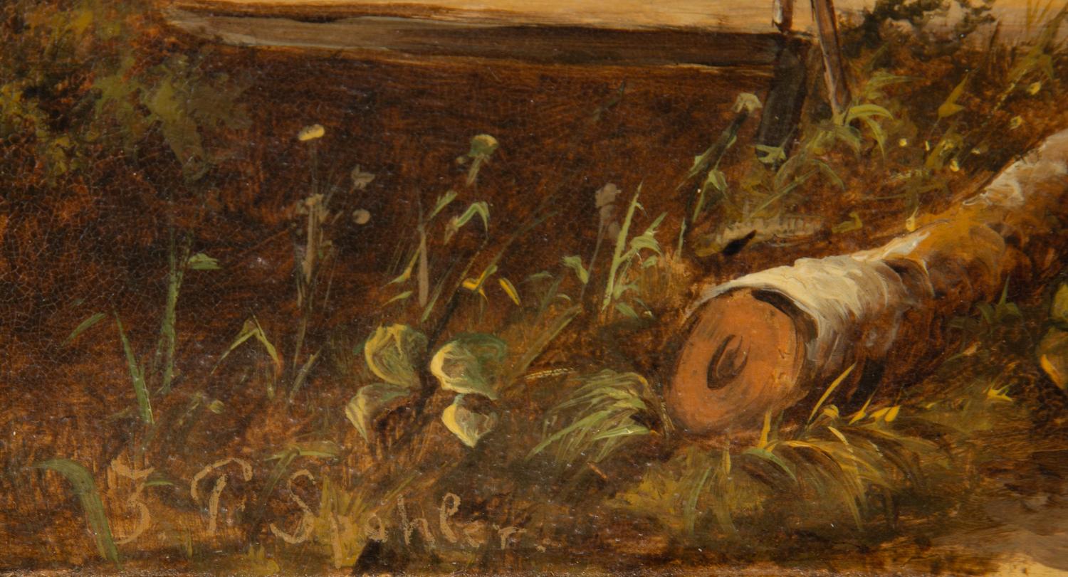 Summer River Landscape