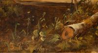 Summer River Landscape