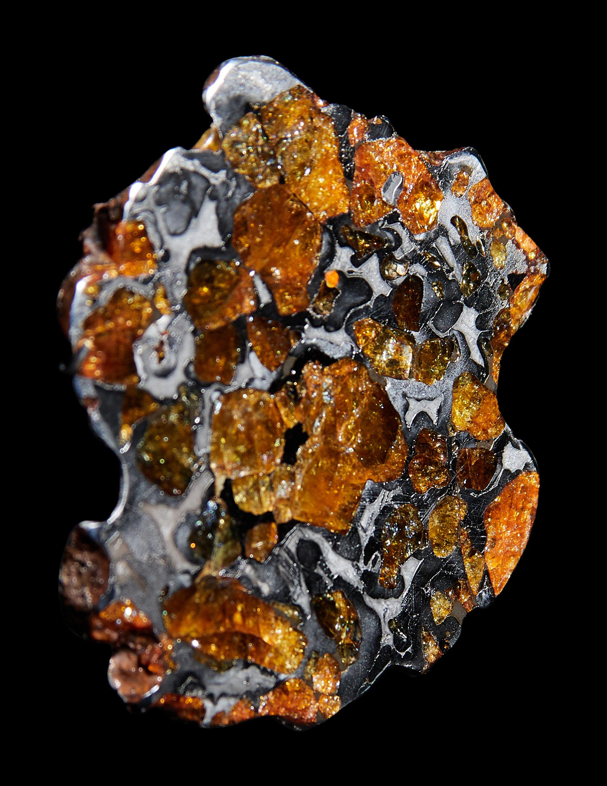 A Meteorite Slice