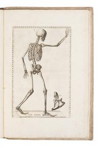 [SCIENCE & MEDICINE]. EUSTACHI, Bartolomeo (d. 1574). Tabulae Anatomicae Clarissimi viri Bartholomaei Eustachii . Rome: Laurentii & Thoma Pagliarini, 1728