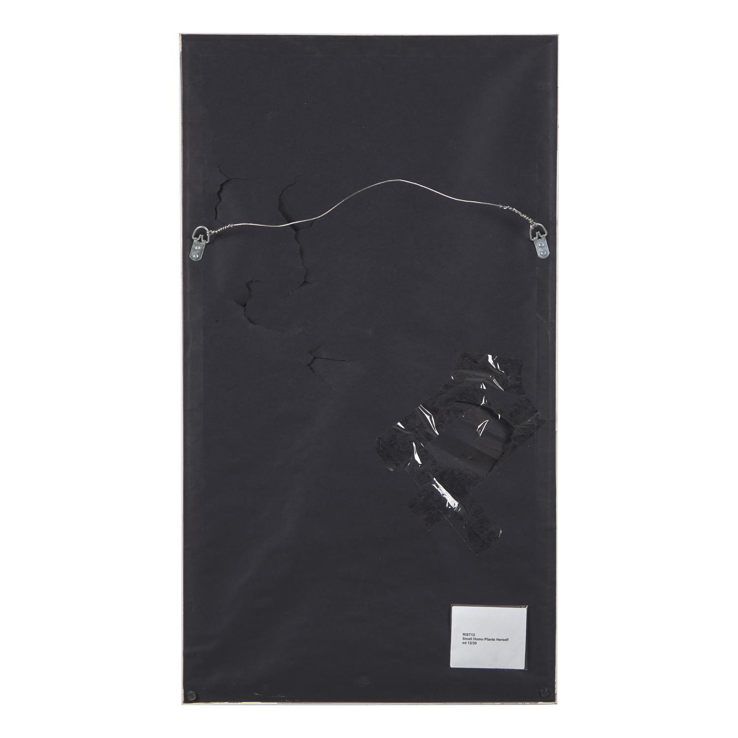 Pipilotti Rist (Swiss, b. 1962) — Small Homo Plants Herself