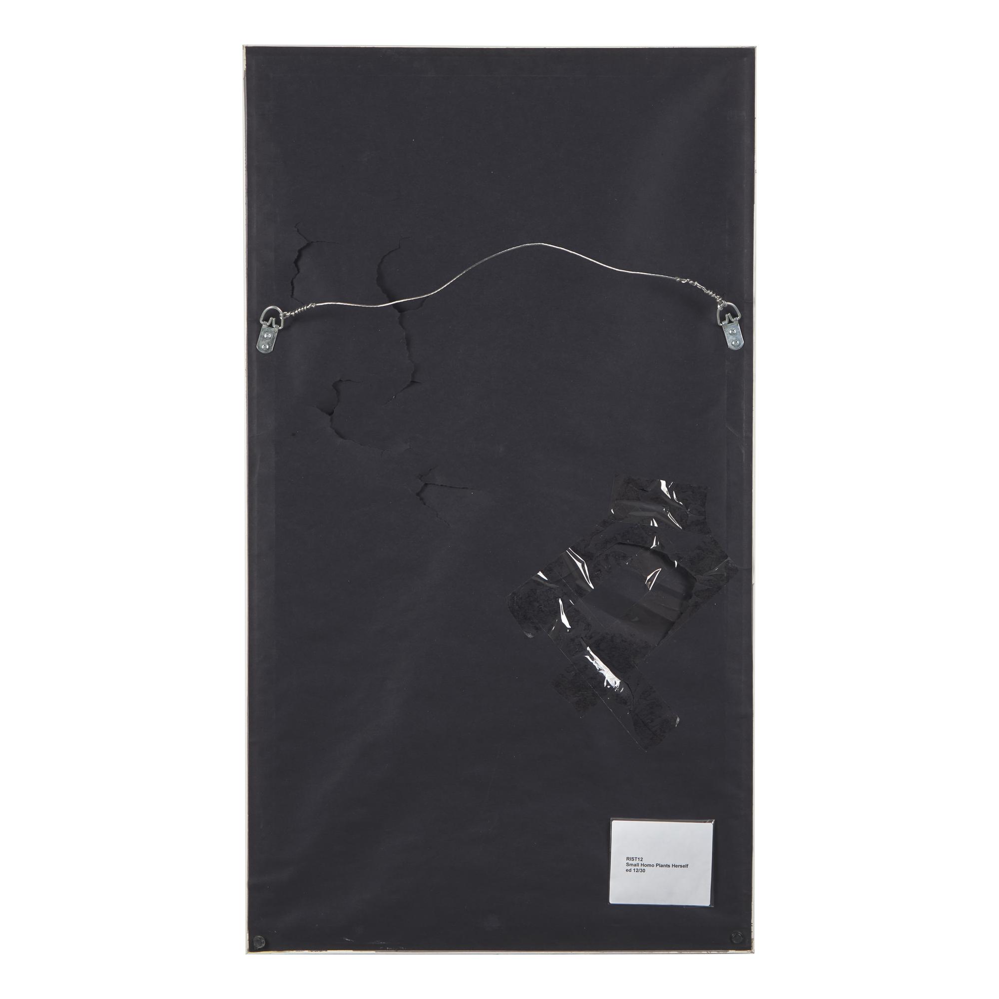 Pipilotti Rist (Swiss, b. 1962) — Small Homo Plants Herself