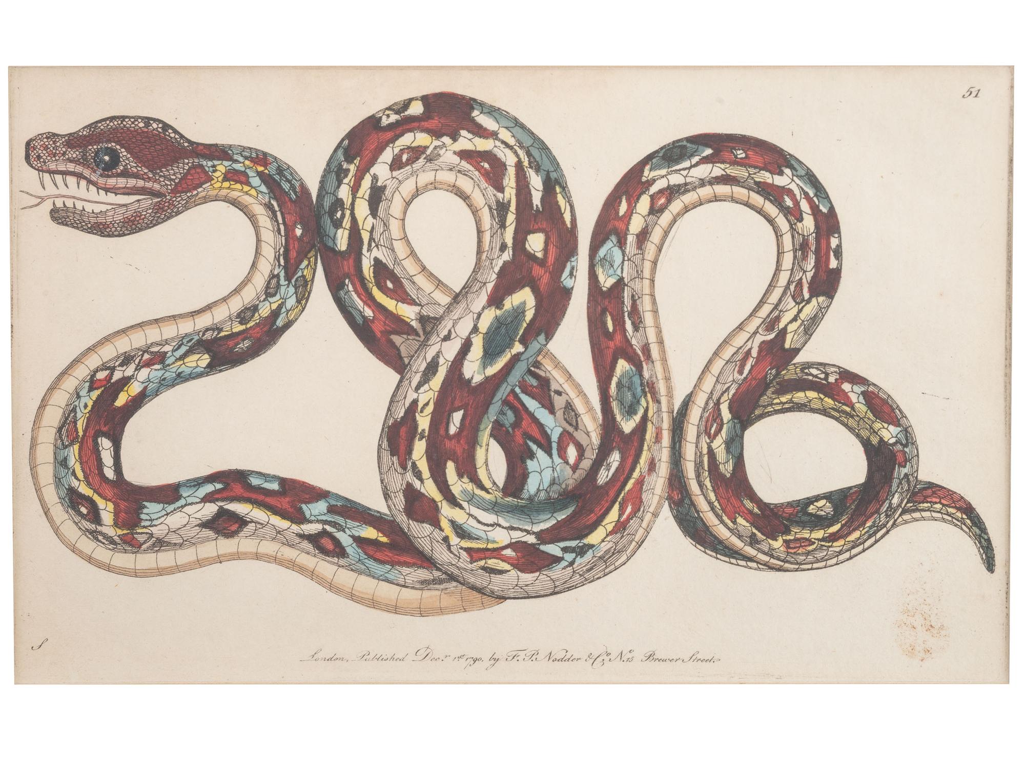 Seven Intaglio Prints of Reptiles