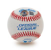 A Group of Randy Macho Man Savage and Hulk Hogan WWE Wrestling Signed Autograph Baseballs (BAS Beckett Authentication Services Certified),