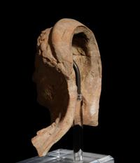 A Greek Terracotta Head
