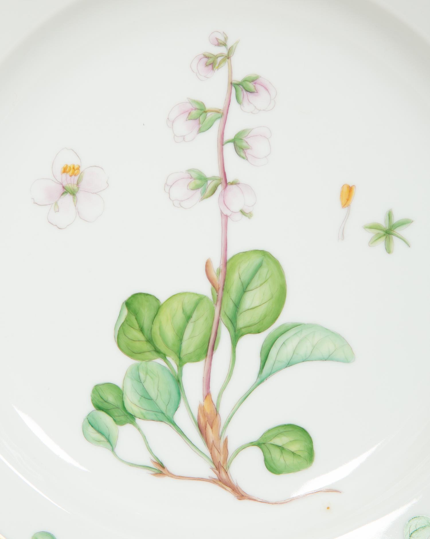 Thirteen Royal Copenhagen Flora Danica Porcelain Dinner Plates