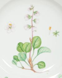 Thirteen Royal Copenhagen Flora Danica Porcelain Dinner Plates
