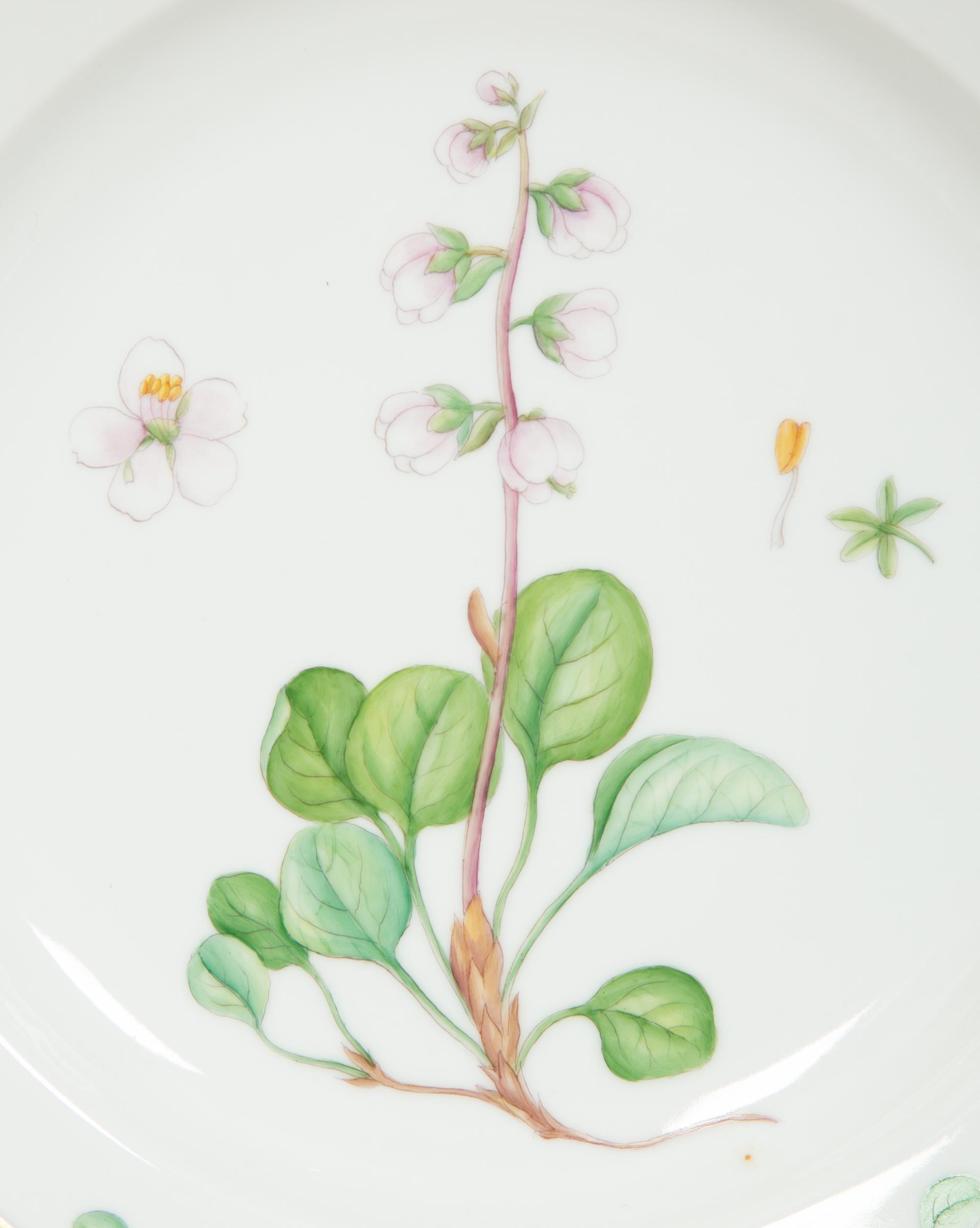 Thirteen Royal Copenhagen Flora Danica Porcelain Dinner Plates