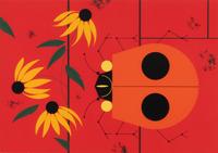 Bug That Bugs Nobody and Hungry Eyes (two works)