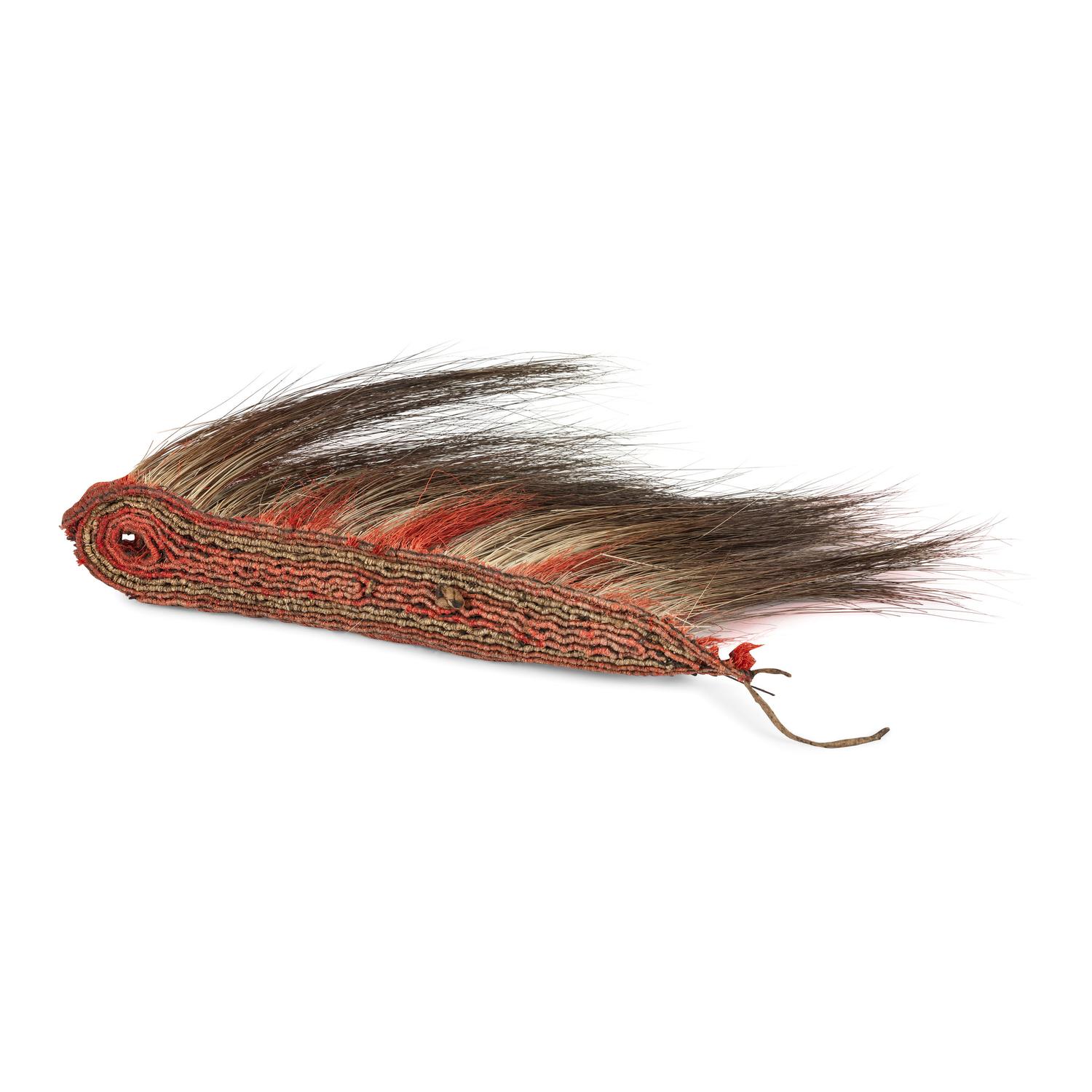 Northern Plains Hair Roach