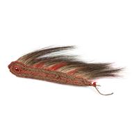 Northern Plains Hair Roach