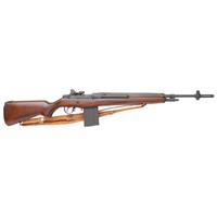 *Springfield M1A Rifle