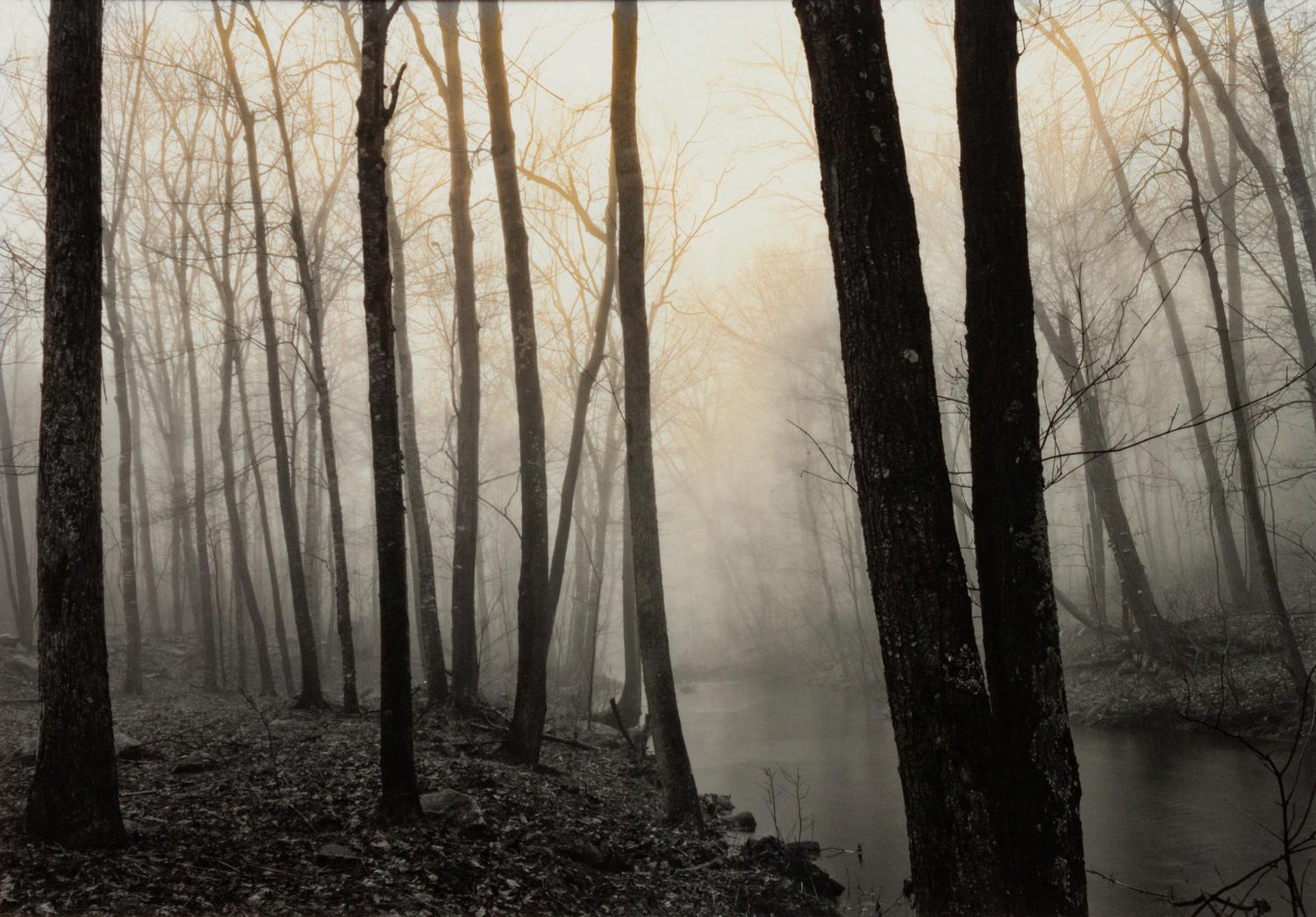 Redding Woods, Conn.