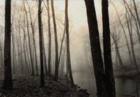 Redding Woods, Conn.