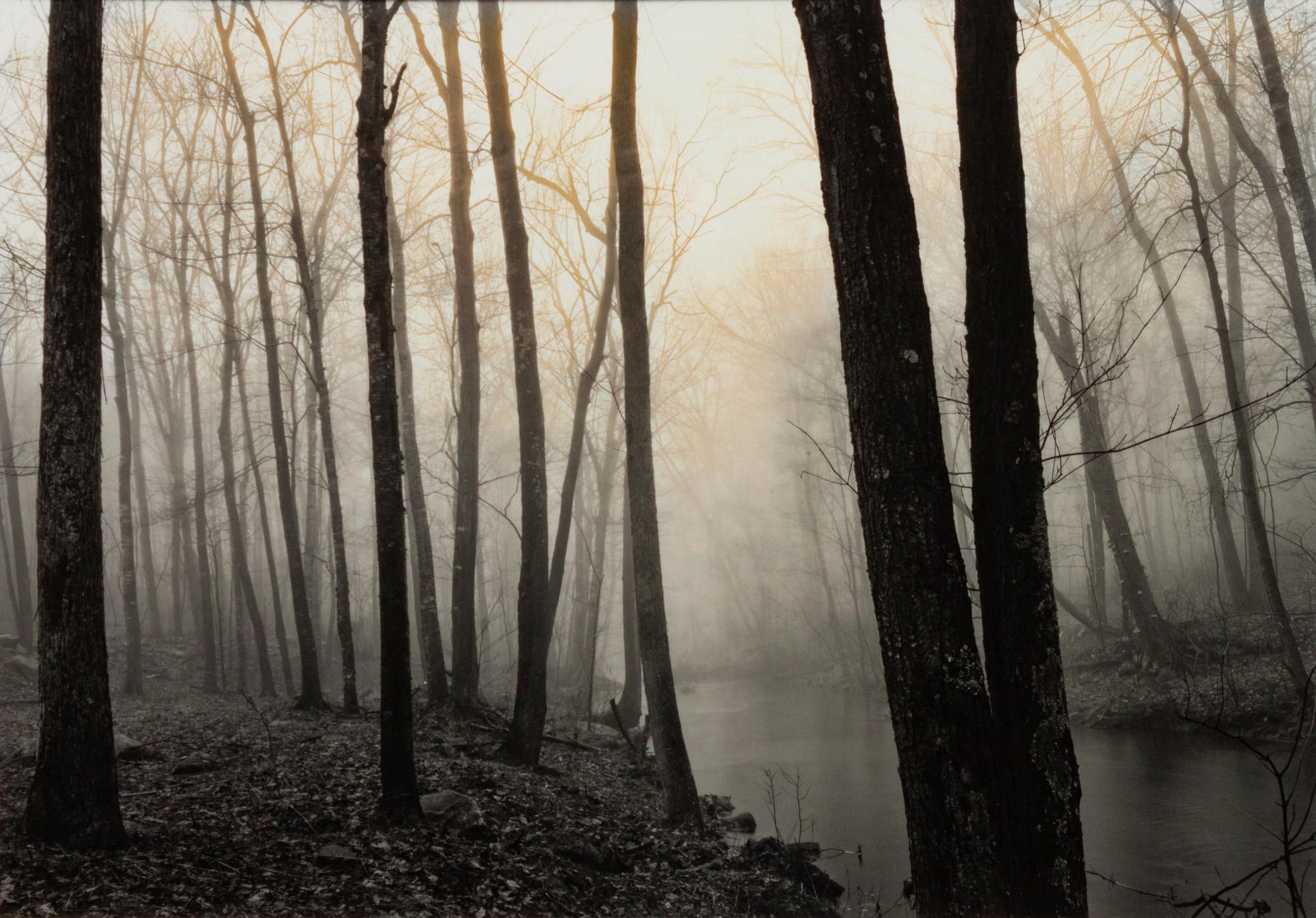 Redding Woods, Conn.