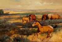Colts in Pasture