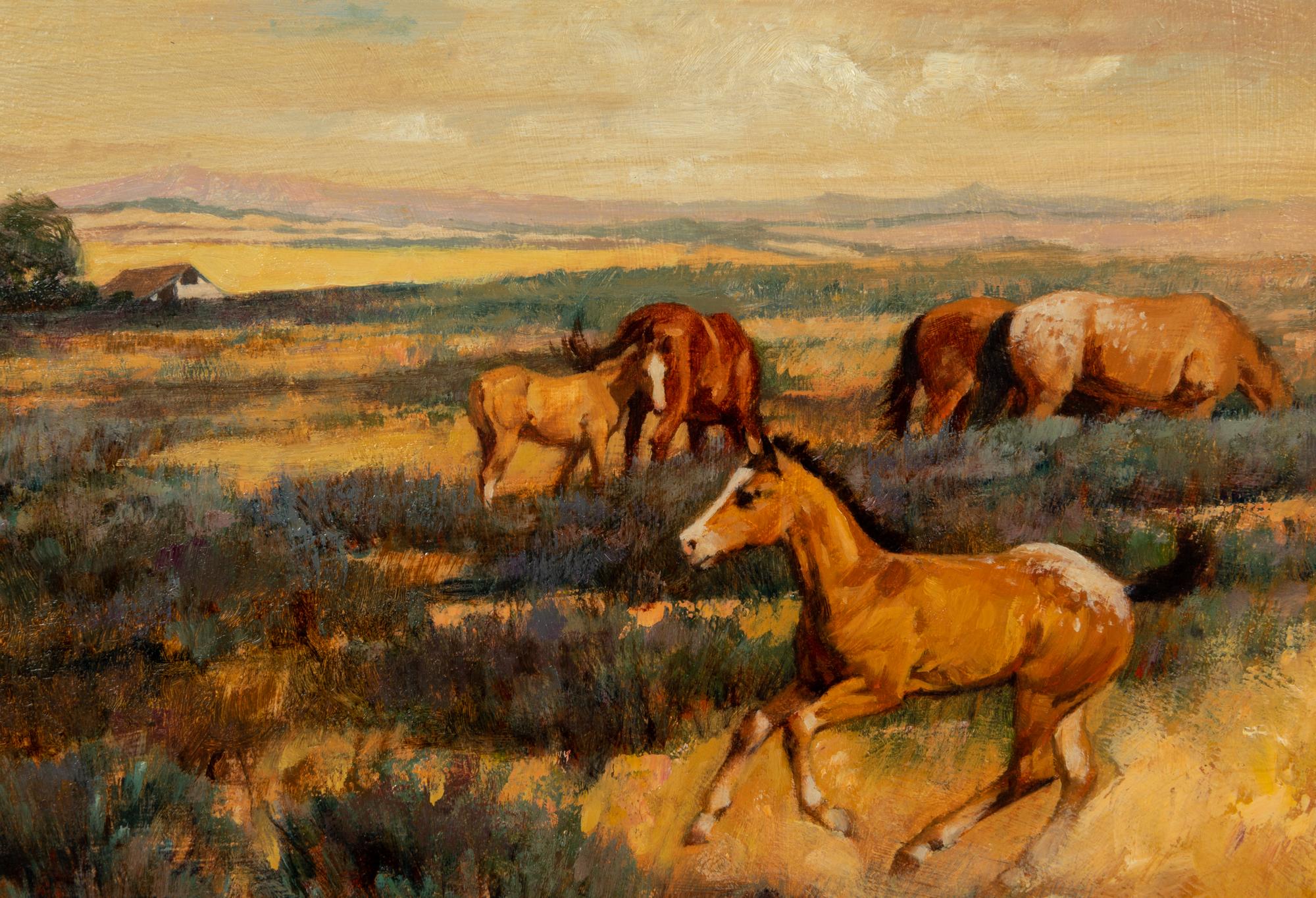 Colts in Pasture