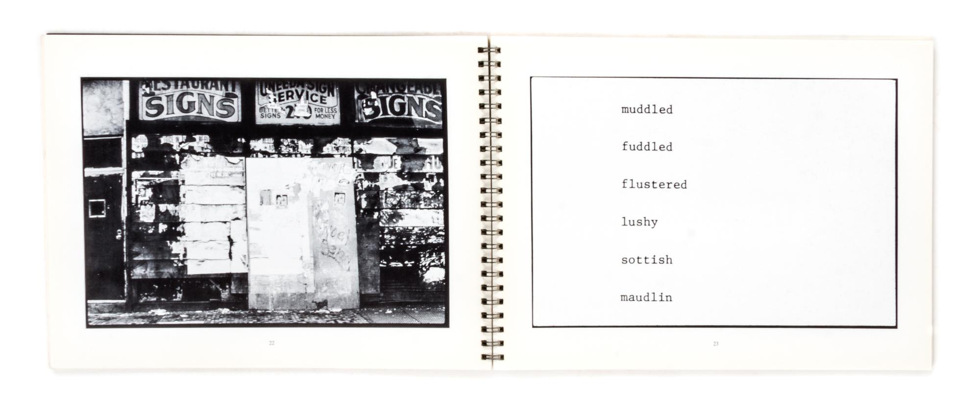 (ARTISTS BOOKS, POLITICS) A group of 9 works, including works by Martha Rosler, Laurent Malone, Alice Aycock and the Atlas Group.