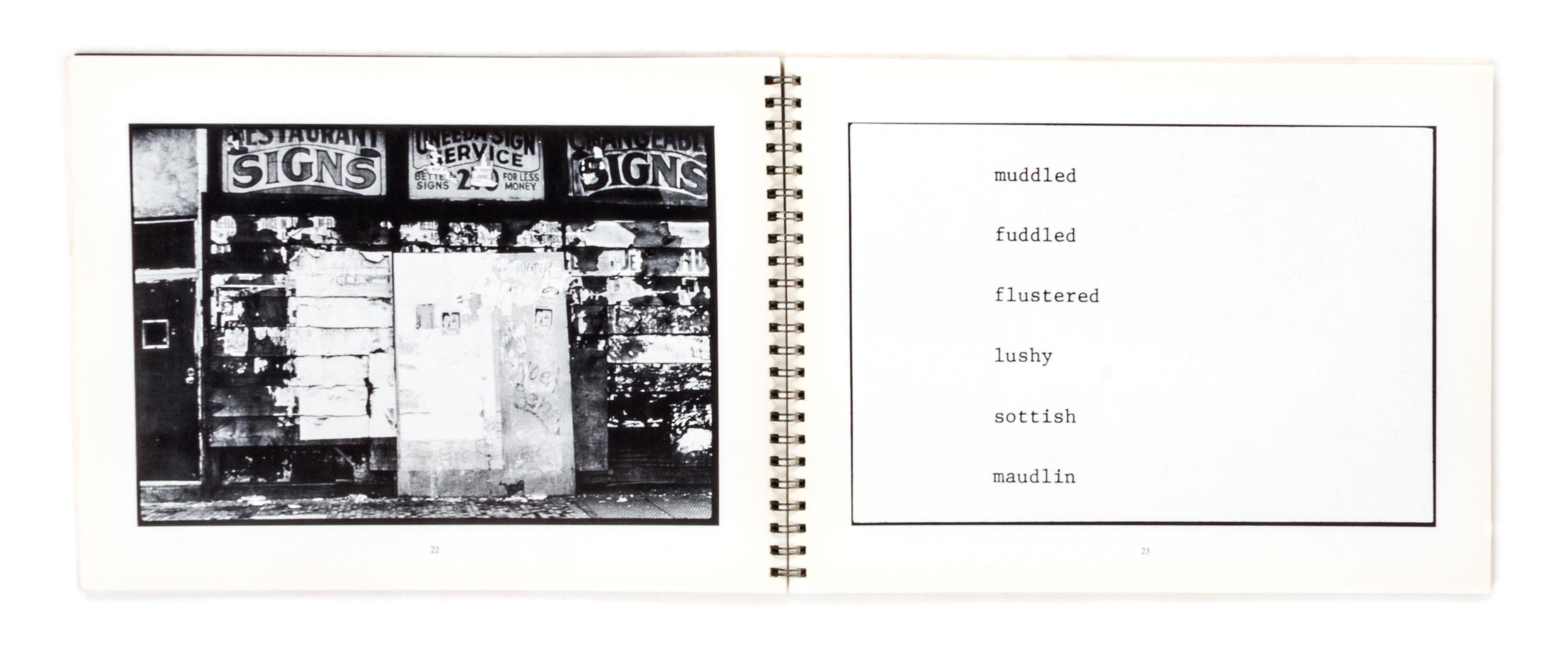 (ARTISTS BOOKS, POLITICS) A group of 9 works, including works by Martha Rosler, Laurent Malone, Alice Aycock and the Atlas Group.