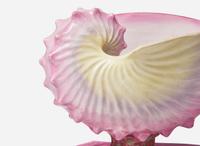 A Wedgwood Pearlware Conchology Sauce Boat and Stand, UK, 1878