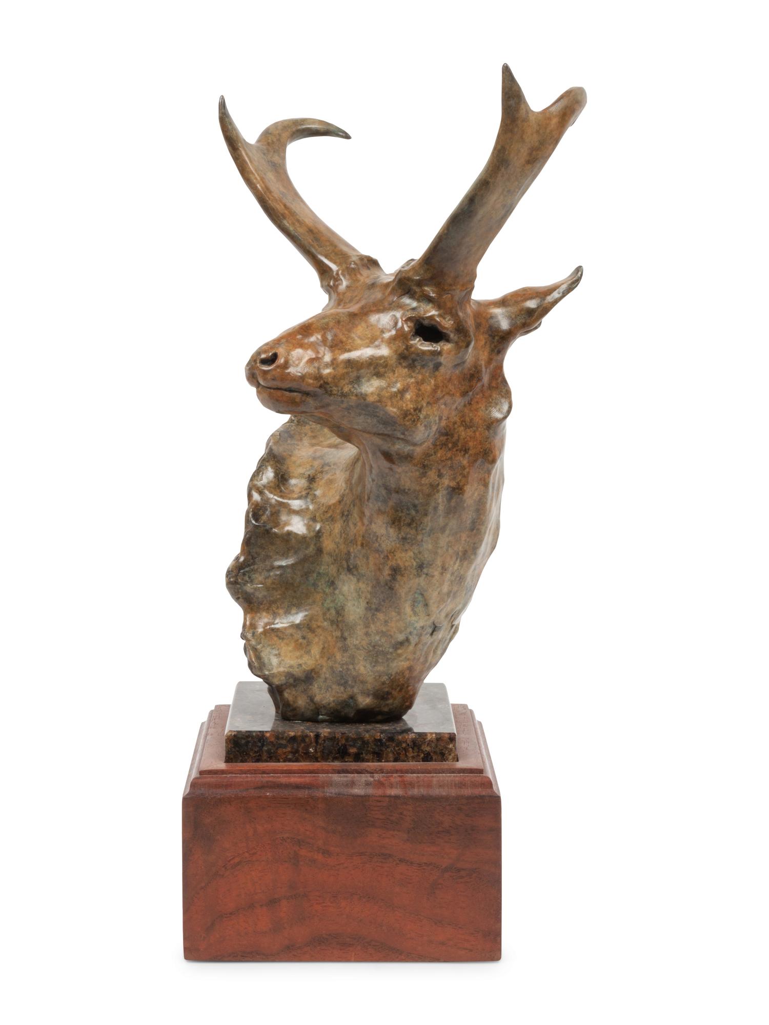 Antelope , edition 31/35