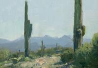 Along the Gila