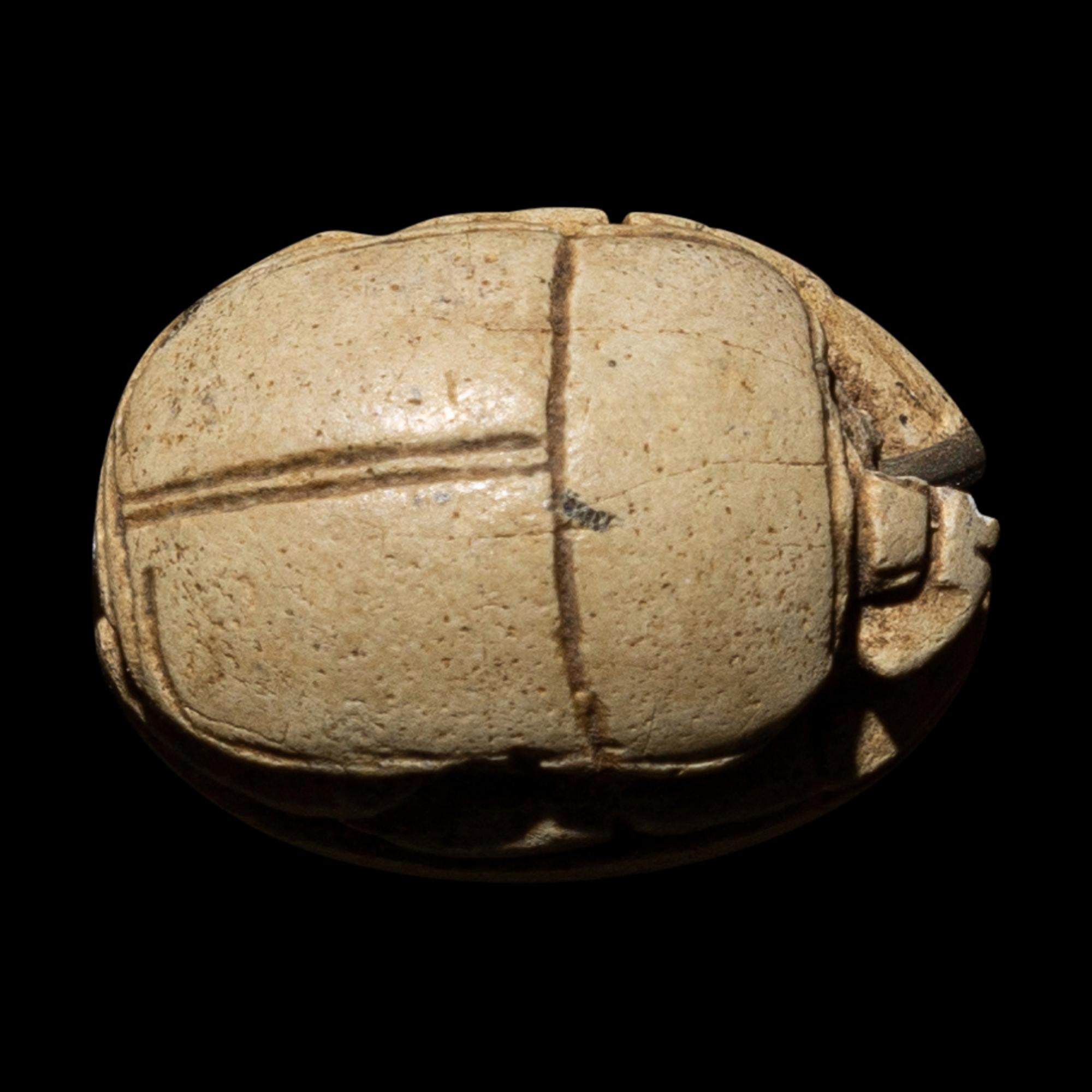 An Egyptian Faience Scarab