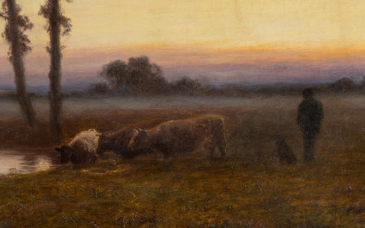 Evening Sunset