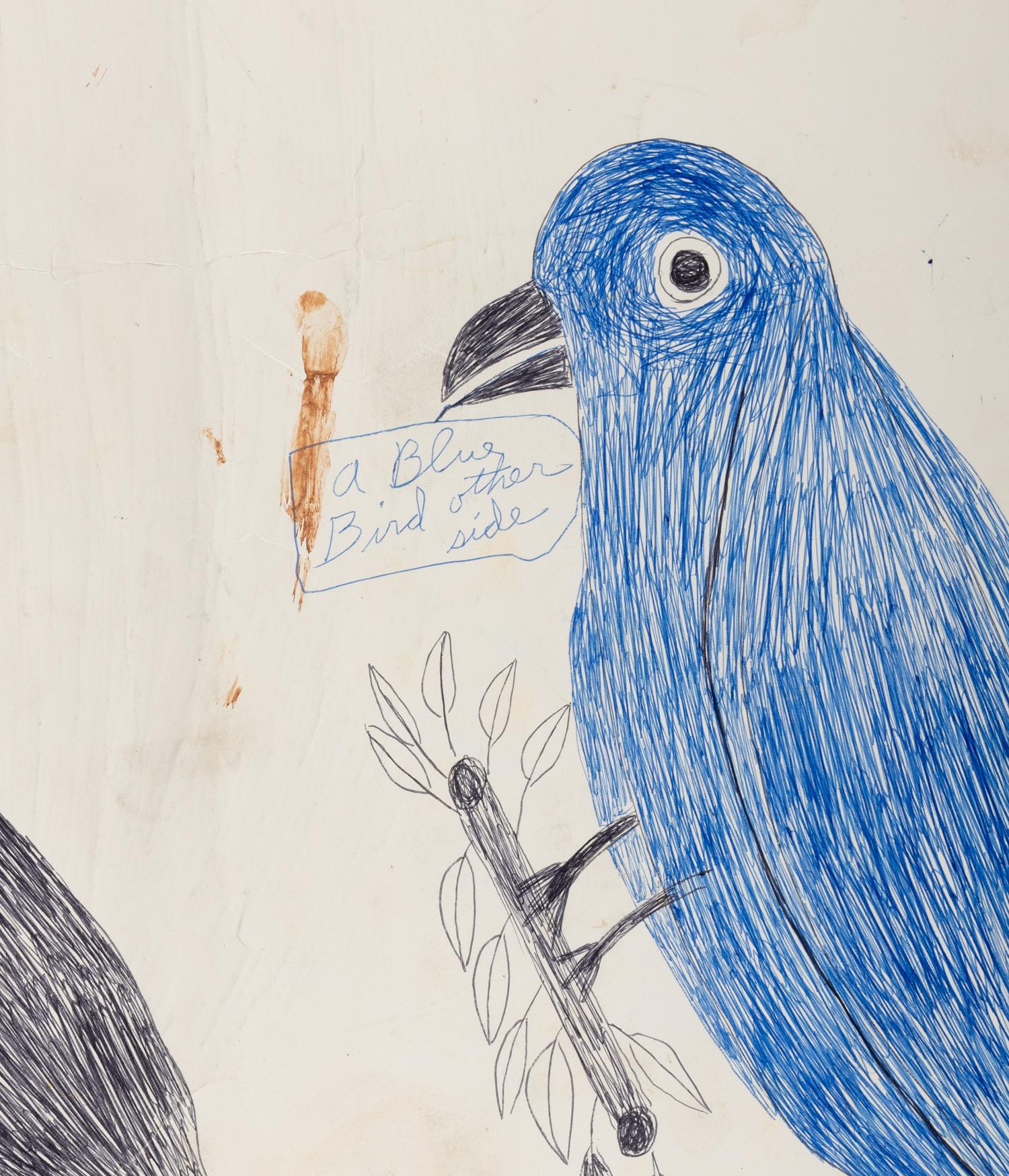 Mr. Blue Bird