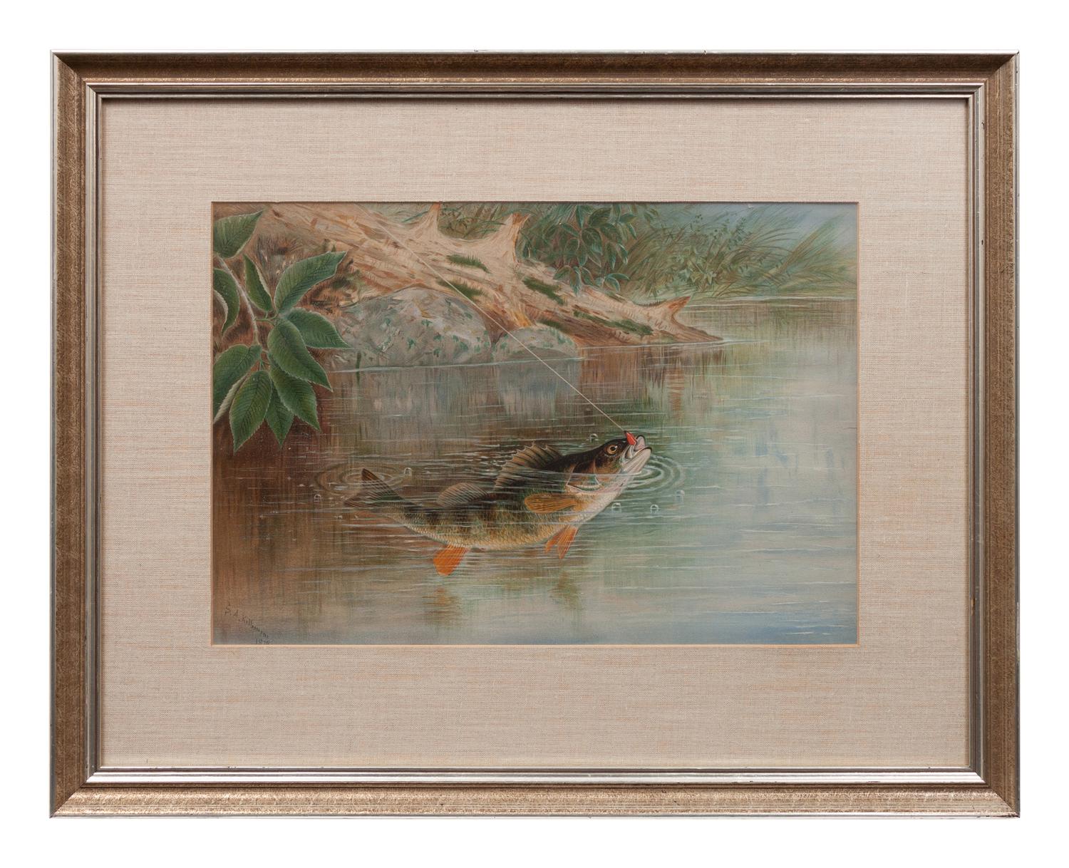 Fly Fishing