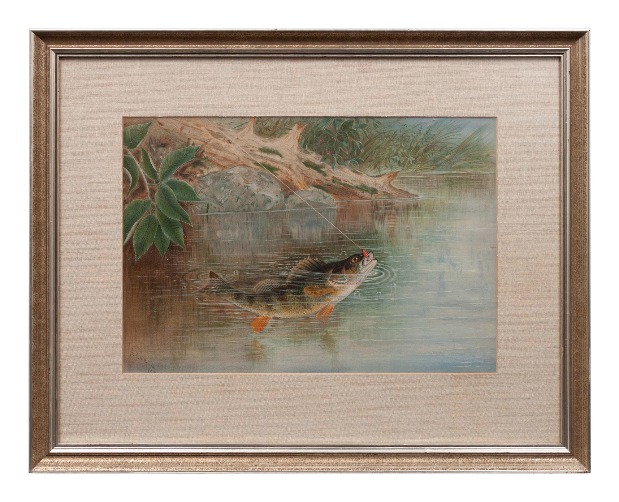 Fly Fishing