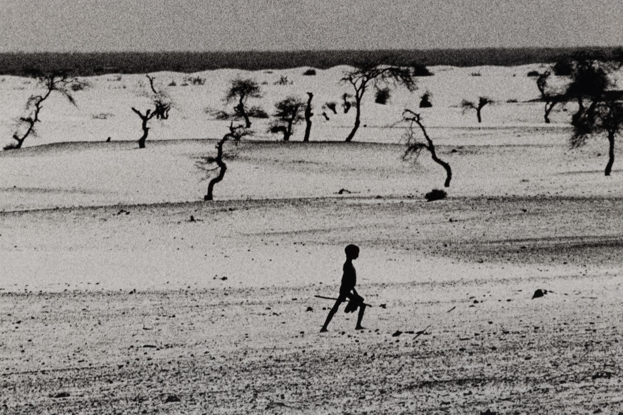 Sebastião Salgado (born 1944) This used to be the large Lake Faguibine. It dried up little by little with the drought and invasion of the desert. All the men have gone, only the children, the elderly and the women remain, Mali, 1985